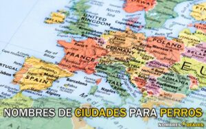Nombres de Ciudades para Perros