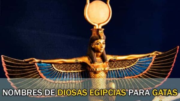 Nombres de Diosas Egipcias para Gatas