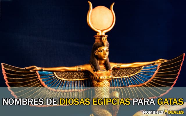 Nombres de Diosas Egipcias para Gatas