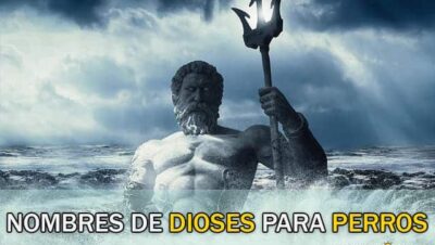 Nombres de Dioses para Perros