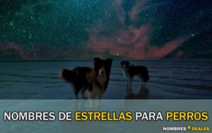 Nombres de Estrellas para Perros