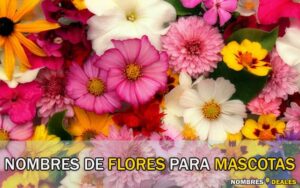 Nombres de Flores para Mascotas