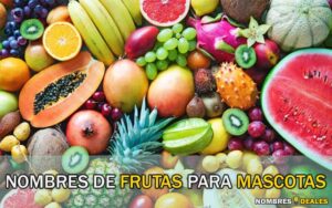 Nombres de Frutas para Mascotas