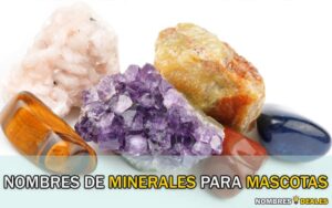 Nombres de Minerales para Mascotas