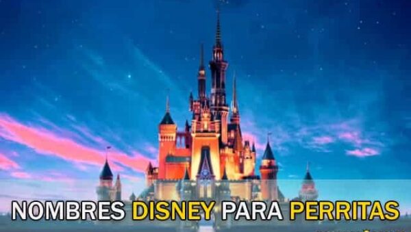 Nombres Disney para Perritas
