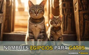 Nombres Egipcios Para Gatos