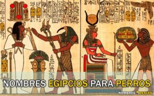 Nombres Egipcios para Perros