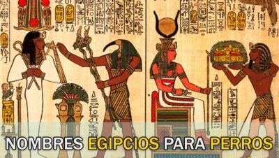 Nombres Egipcios para Perros