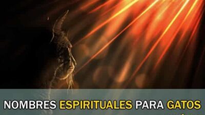 Nombres Espirituales para Gatos