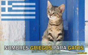 Nombres Griegos para Gatos