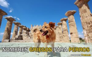 Nombres Griegos para Perros