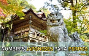 Nombres Japoneses para Perros