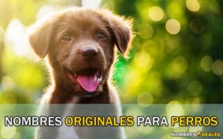 nombres originales para perros