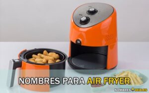 Nombres para Air Fryer