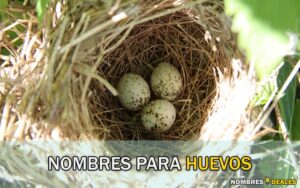 Nombres para Huevos