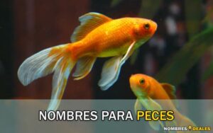 Nombres para Peces