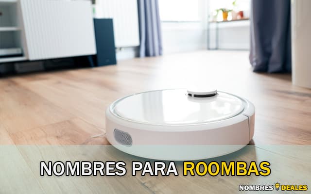 Nombres para Roomba