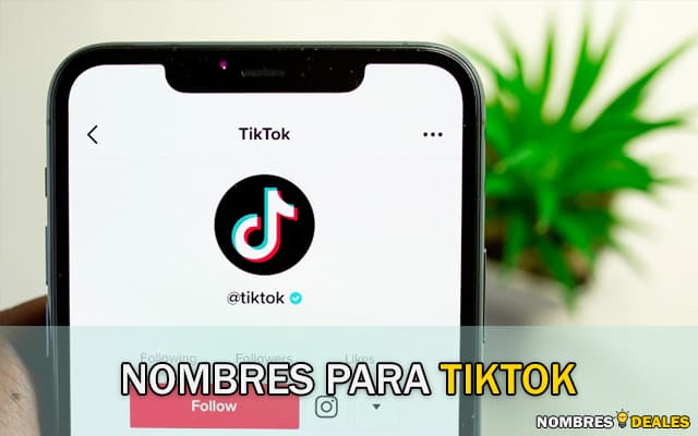 Nombres para TikTok