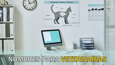 nombres para clinicas veterinarias