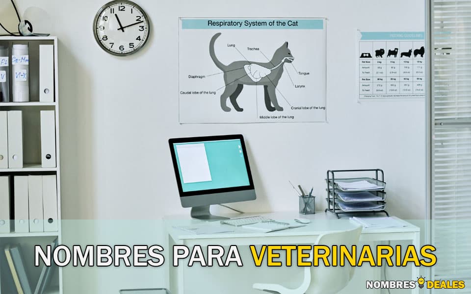 nombres para clinicas veterinarias